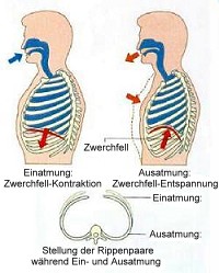 Reflektorische Atemtherapie